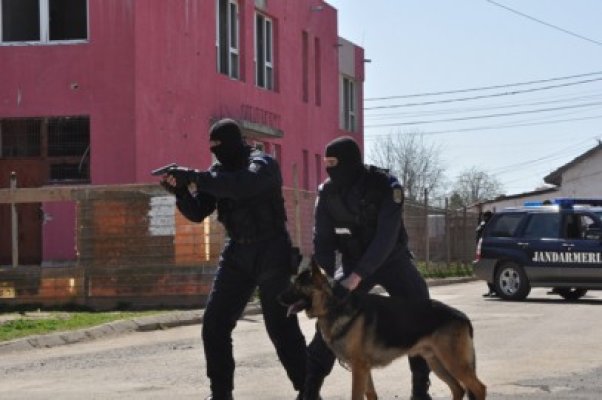 Ţiganii din Mangalia s-au speriat când au văzut jandarmii în cartierul lor. A fost vorba doar despre un exerciţiu demonstrativ!